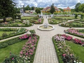 Nyírszőlős