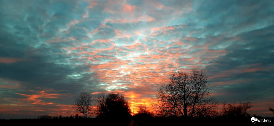 Kék narancssárga..