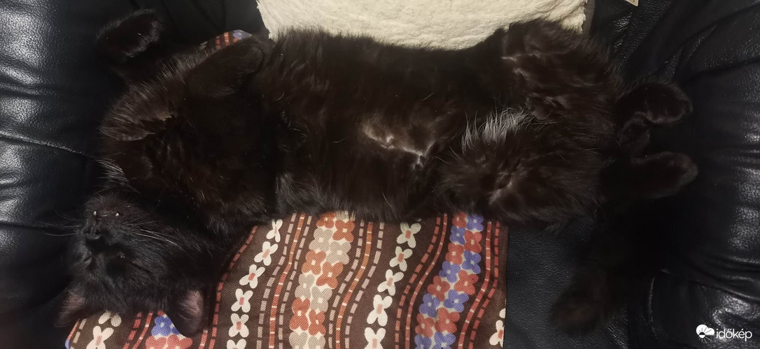 Kint nagyon hideg van...