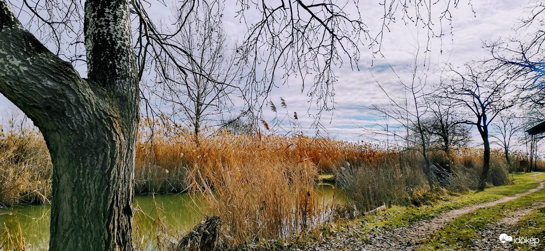 Séta szilveszter napon...2.