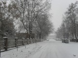 Kiskunhalas