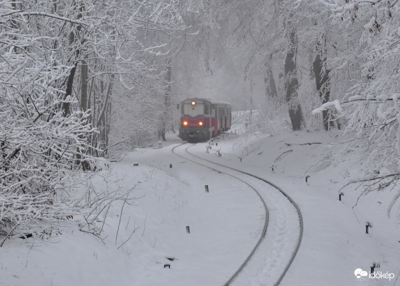 Fut a vonat havas úton