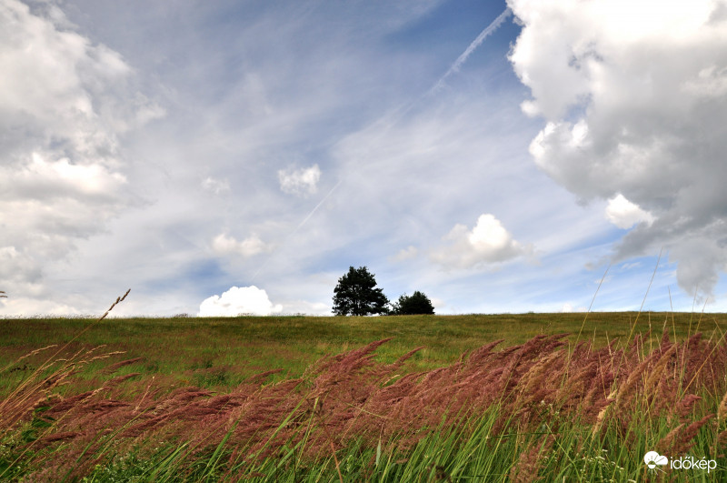 Mályinka határában