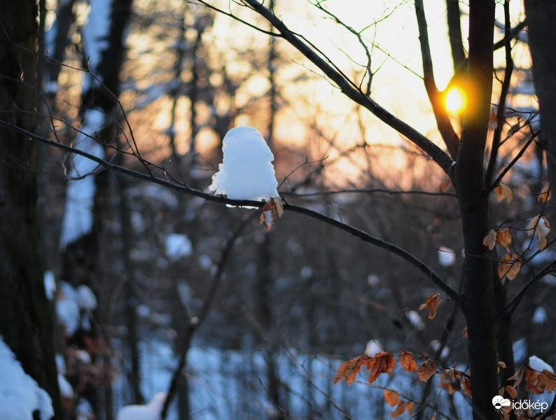 Talán egy hóbagoly ??  :)