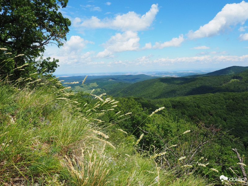 Bükk - Kilátás a Kemesnye-hegyről 