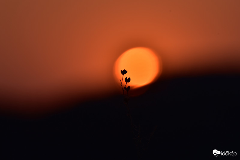 Nyugta - Dicséret - Nap