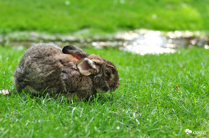 ....ülve szundikálva