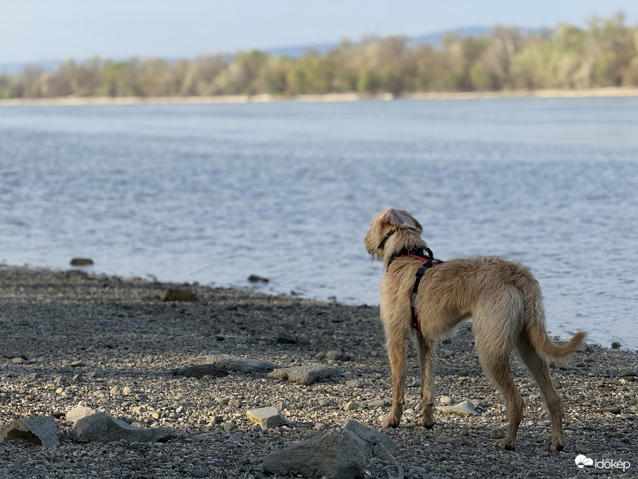 Dunakeszi Duna-parti reggel 