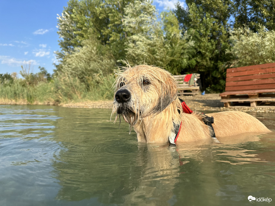 ma reggeli pancsolás ❤️