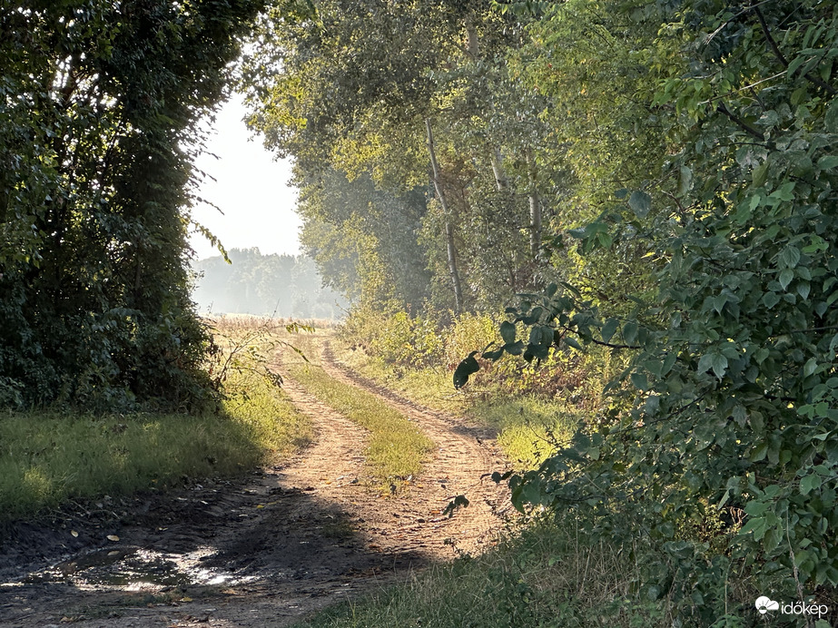 Csodás reggelünk ❤️