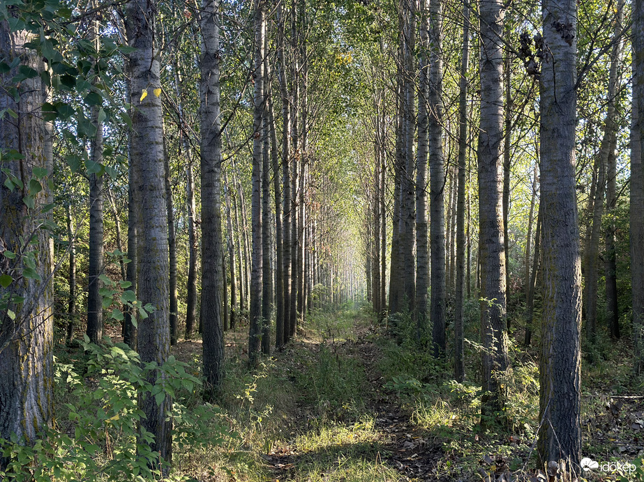 Csodás reggelünk ❤️