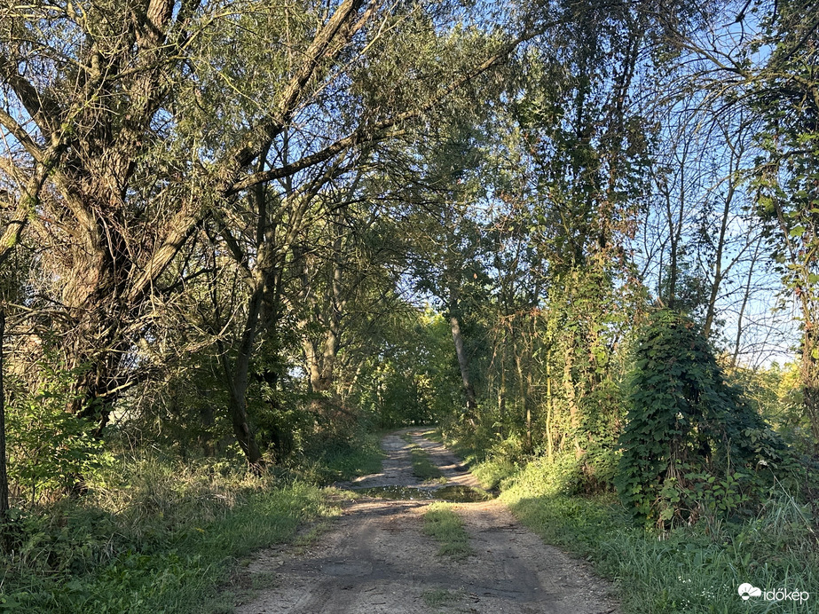 Csodás reggelünk ❤️