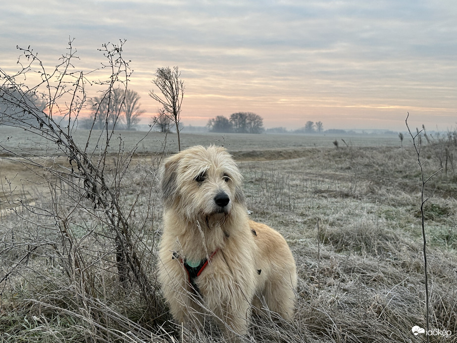 ma reggelünk ❤️