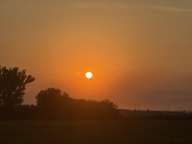 hagnes68 fotója