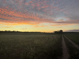 hagnes68 fotója