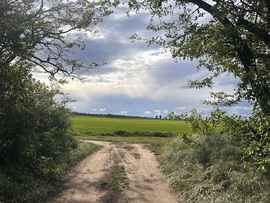 hagnes68 fotója