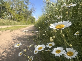 hagnes68 fotója