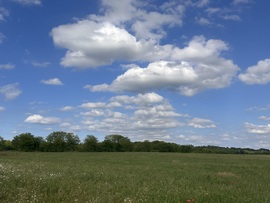hagnes68 fotója