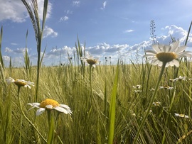 hagnes68 fotója