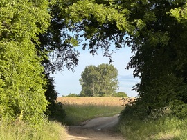 hagnes68 fotója