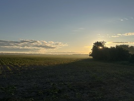 hagnes68 fotója