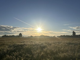 hagnes68 fotója
