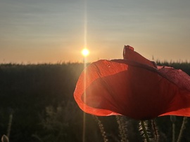 hagnes68 fotója