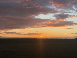 hagnes68 fotója