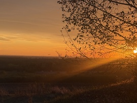 hagnes68 fotója