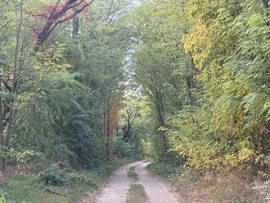 hagnes68 fotója