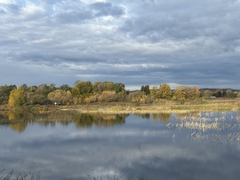 hagnes68 fotója