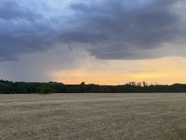 hagnes68 fotója
