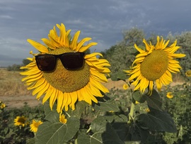 hagnes68 fotója