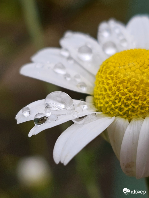 Az esős idő is lehet szép 