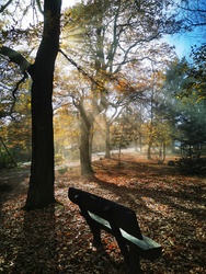 Dobogókő misztikus ködben 