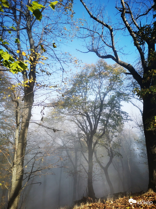 Dobogókő misztikus ködben 
