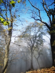 Dobogókő misztikus ködben 