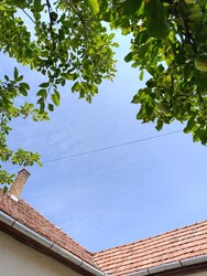 Őcsény