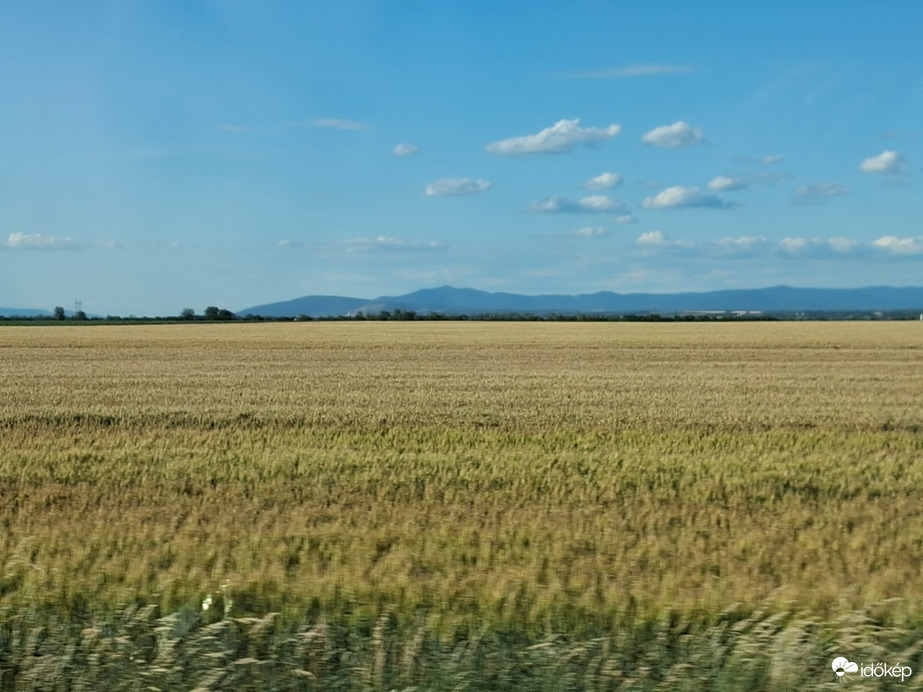 Tura