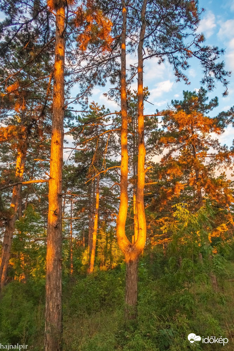 Pilisszentiván