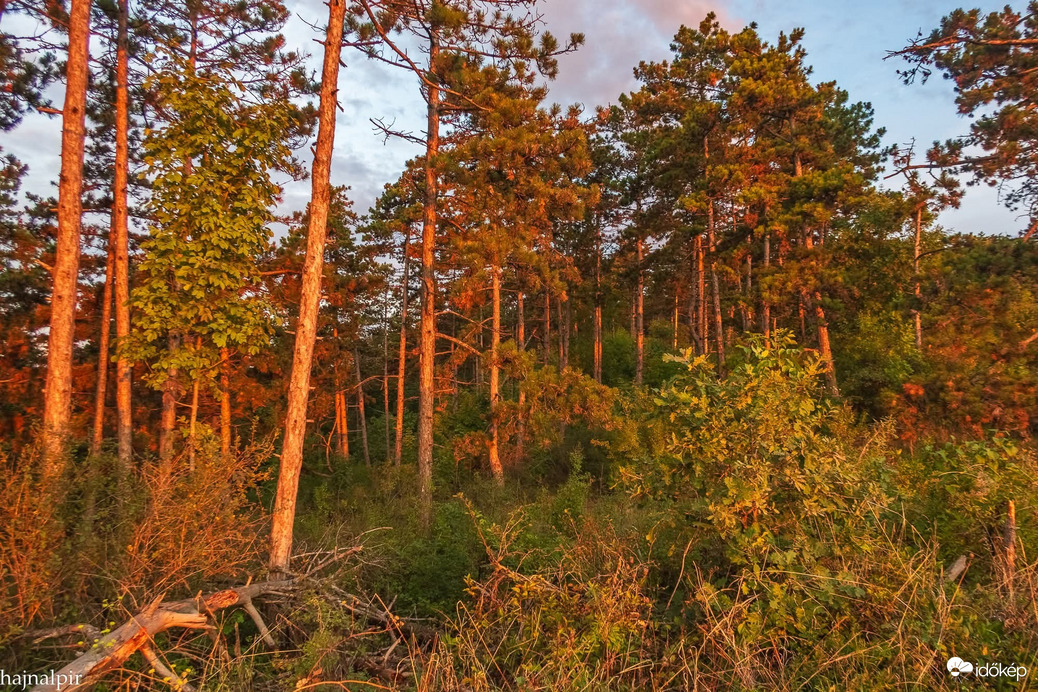 Pilisvörösvár