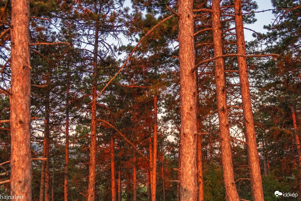 Pilisszentiván
