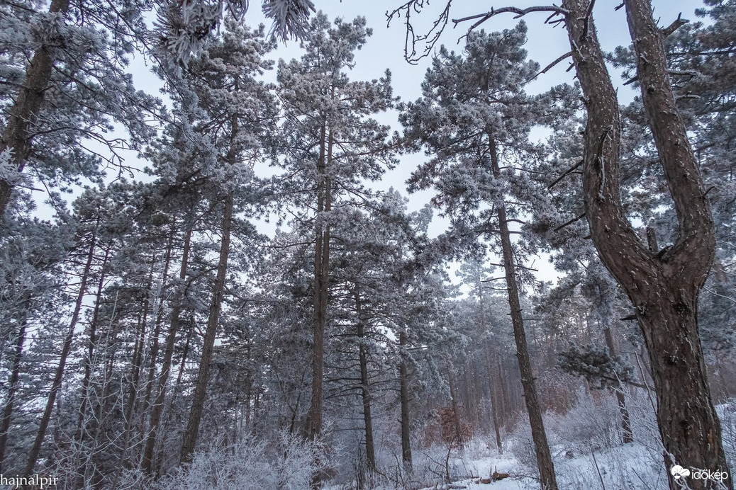 Budapest XIII.ker - Újlipótváros