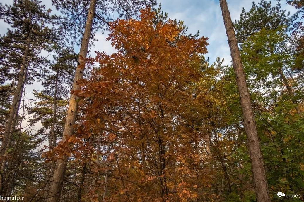 Pilisszentiván