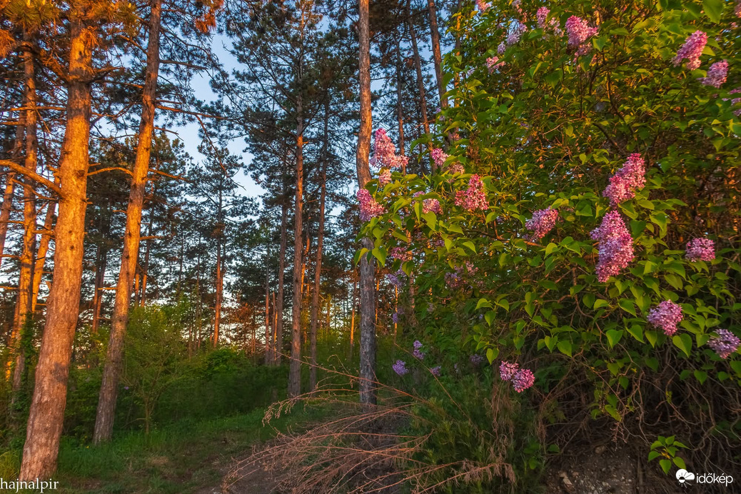 Április 24. reggelén 