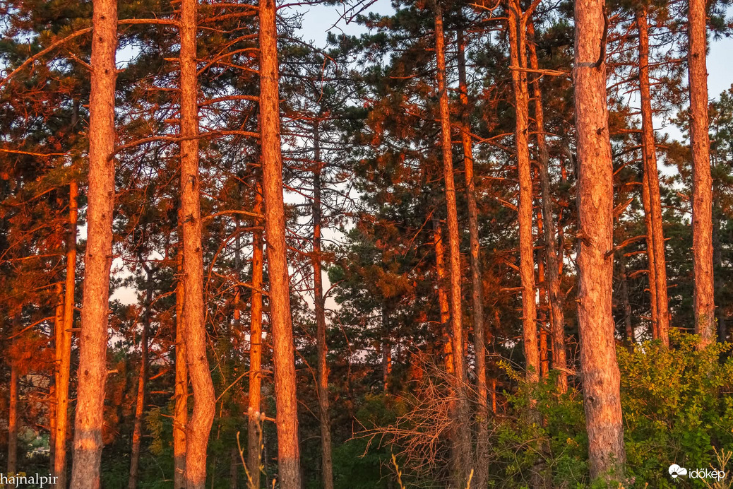 Június 19. reggelén 