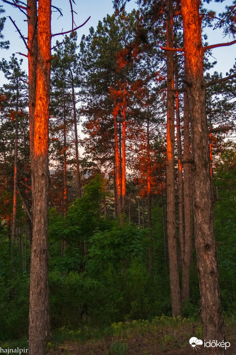 Május 10. reggelén 