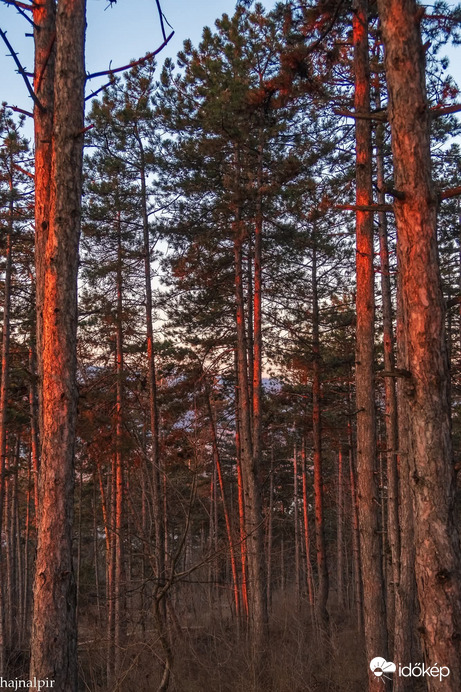 Pilisszentiván