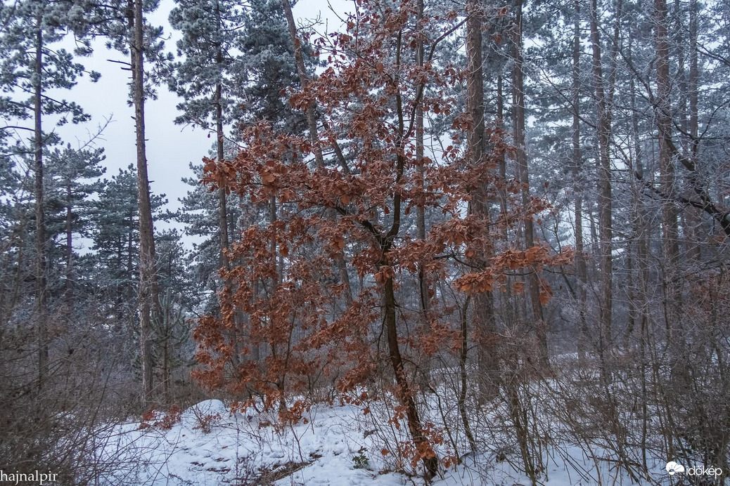 Budapest XIII.ker - Újlipótváros