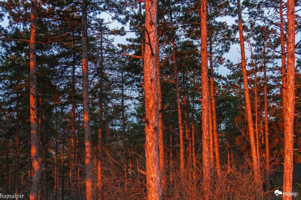 Pilisszentiván